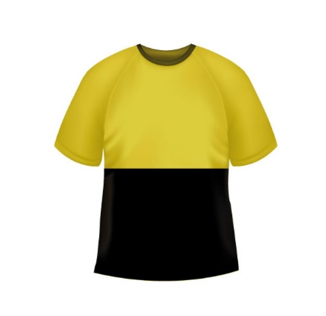 AL410BIR-50%50% Camiseta bicolor amarilla/negra, tejido P liso, manga corta, canesu y mangas amarillo, cuello y bajos color negro. 50% algodon-50% poliester